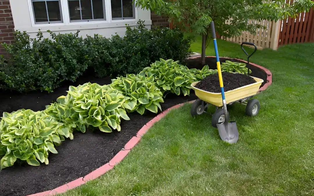 How to Enhance the Aesthetics of Your Property with Quality Landscape Supplies